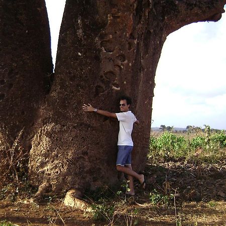 Beni Benius Hotel กาญารี ภายนอก รูปภาพ